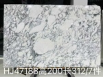 Arabescato White marble slab with white islands and branching grey veins