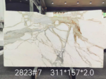 Calacatta Borghini marble slab with branching grey veins and warm gold accents across a white background