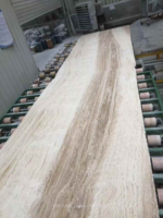 Long view of Iran Super White Travertine with flowing beige bands