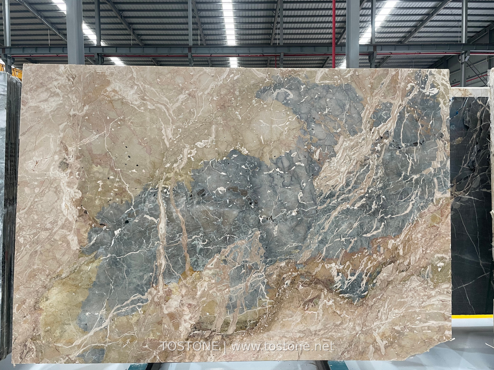 italian-ceppo-breccia-marble-slab-01-tostone Italian Ceppo Breccia marble slab with broad blue-grey areas and warm beige veining