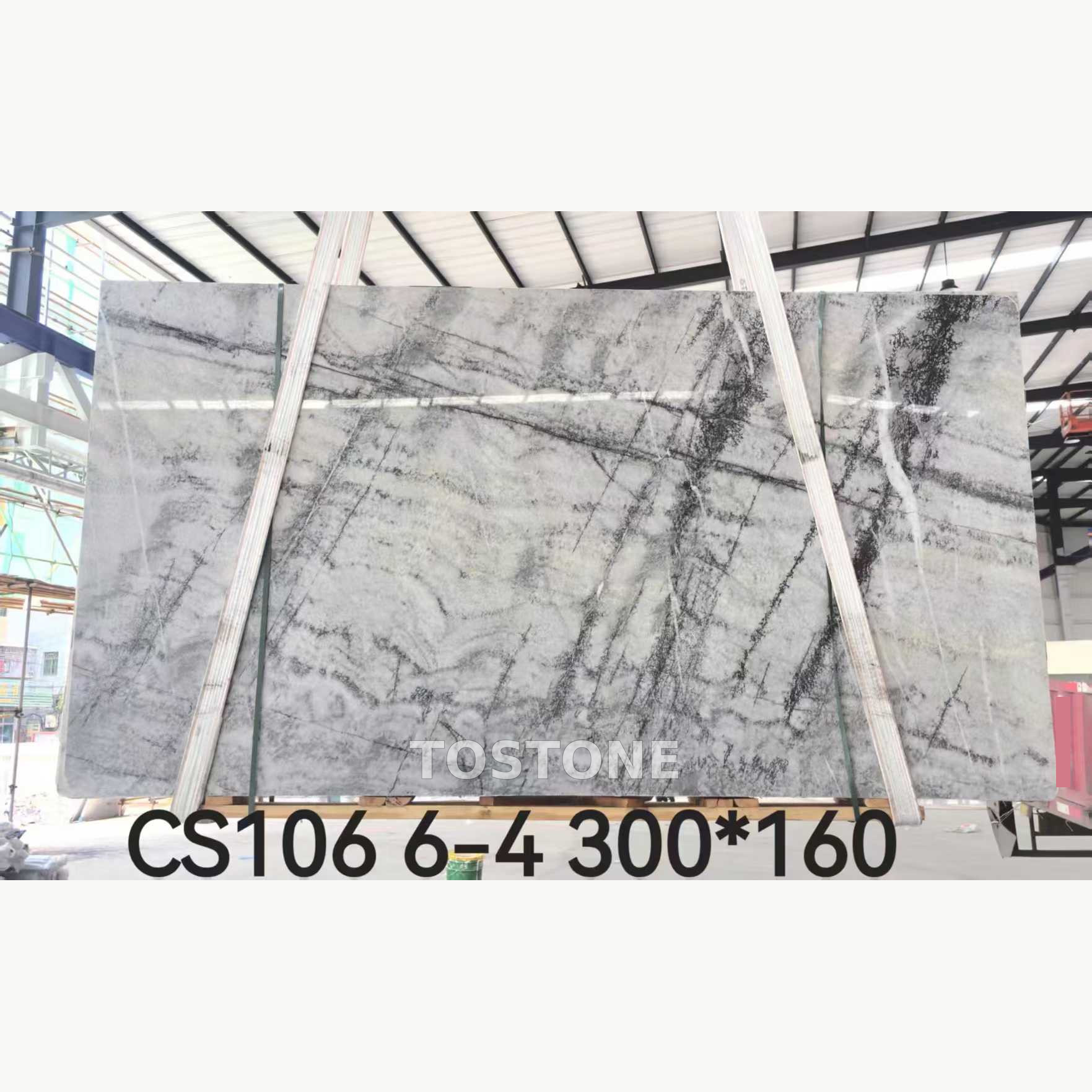 italian-silver-fir-marble-01-tostone-watermark-partial-clean-square Italian Silver Fir Marble slab with silver-gray and white tones and intersecting charcoal veins, marked CS106 6-4