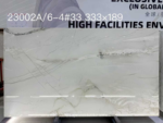 Mont Blanc quartzite slab with fine intersecting grey veins