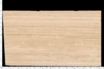 Full Roma Travertine vein-cut slab with warm cream and sand tones