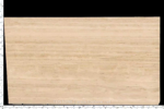 Roma Travertine slab with gentle linear natural movement