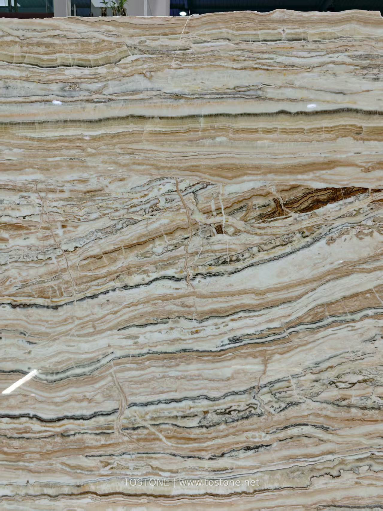 tilamisu-travertine-slab-01-tostone-watermark Close view of Tilamisu Travertine Slab with cream, beige and dark wavy bands