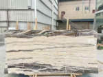 Wide Tilamisu Travertine Slab in a stone yard with cream center and dark outer bands