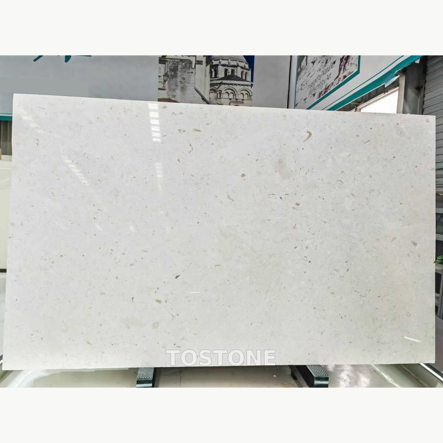 white-mushroom-marble-01-clean-square White Mushroom Marble slab with an ivory-white background and scattered gray and taupe markings.